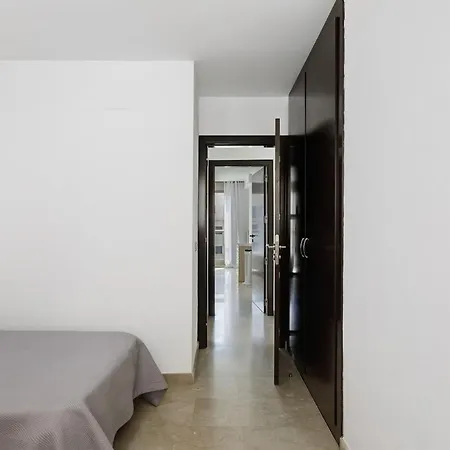 Ng Zenith - Santa Cruz de Tenerife